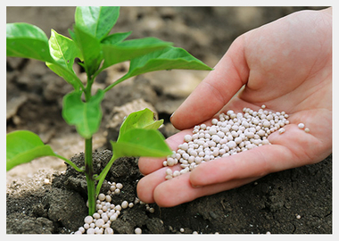 Fertilizers
